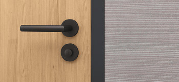 Lever handle on rosette