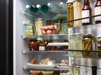 Refrigerator, Freestanding