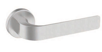 Lever handle, SS 304, on rose and euro profile escutcheon